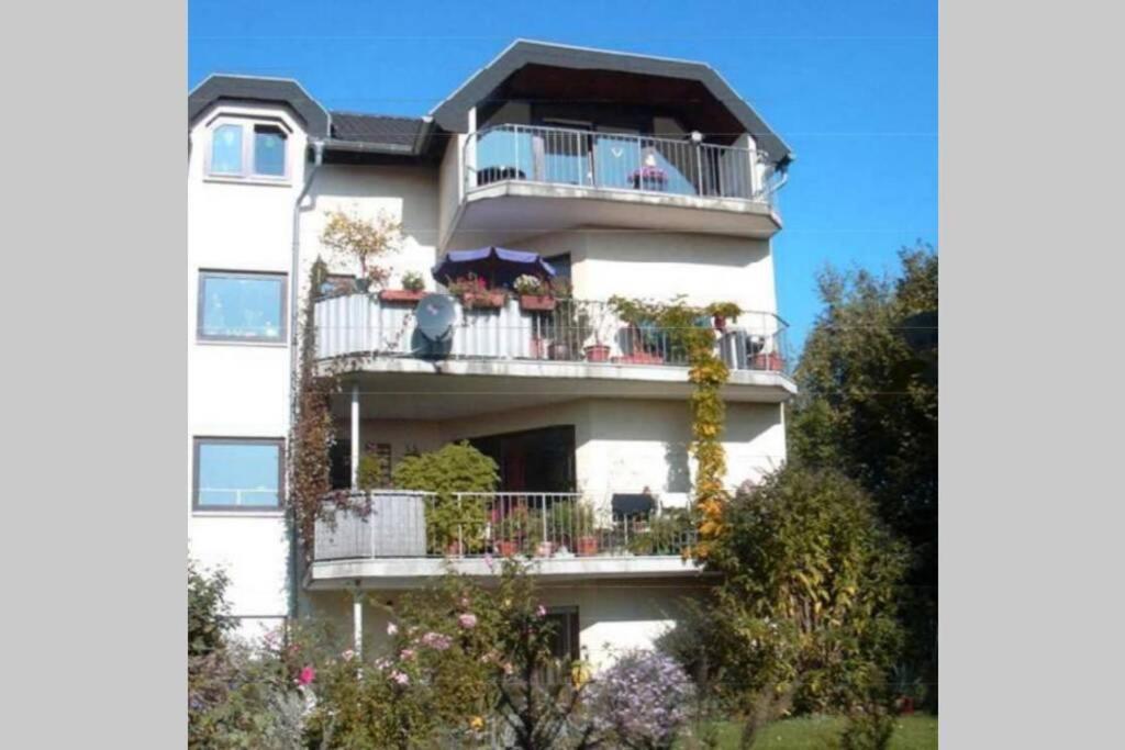 Souterrainwohnung Mit Grossem Garten Und Sauna Касел Екстериор снимка